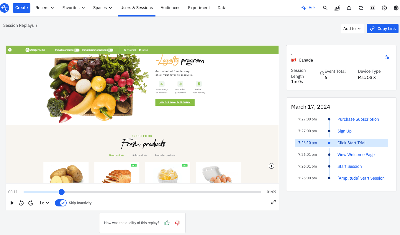 Example of Session Replay for an ecommerce store