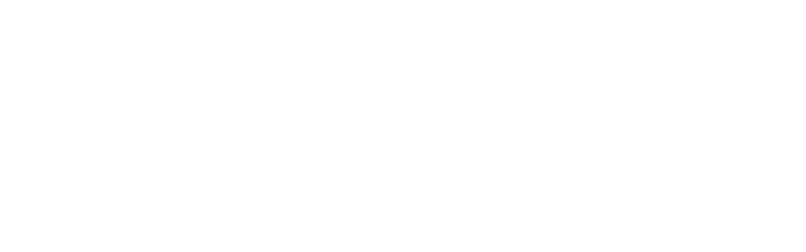 CDK Roadster 로고 화이트